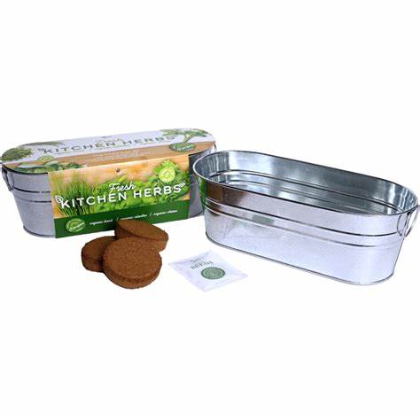 Windowsill Herb Grow Kit by Buzzy Seeds (Basil, Cilantro & Chives)